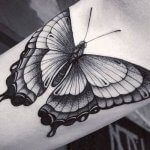 Ideas for Butterfly Tattoo