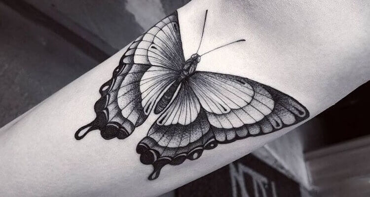 Black and Grey Butterfly Tattoos  Cloak and Dagger Tattoo London