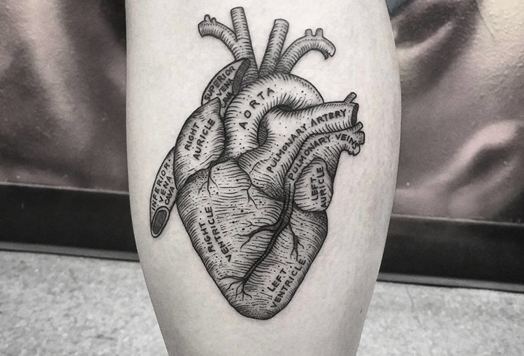 28 of The Best Anatomical Heart Tattoos