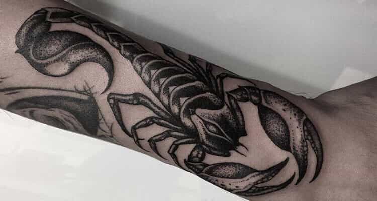 30 Fancy Scorpion Tattoos For Hand  Tattoo Designs  TattoosBagcom