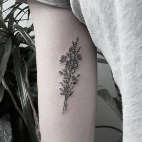 Minimalist tattoo a plant in a white background Vector Image