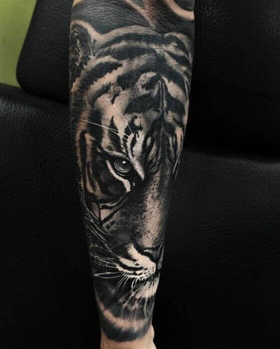 White Tiger Tattoo Queenstown  Chloe finished this off today Tiger is  fresh bottom half is healed Thanks Matt chloetattooos chloetattooos  chloetattooos tattoo tattoos tattooartist tattooartistmag  tattoorevuemag inkedmag realistictattoo 