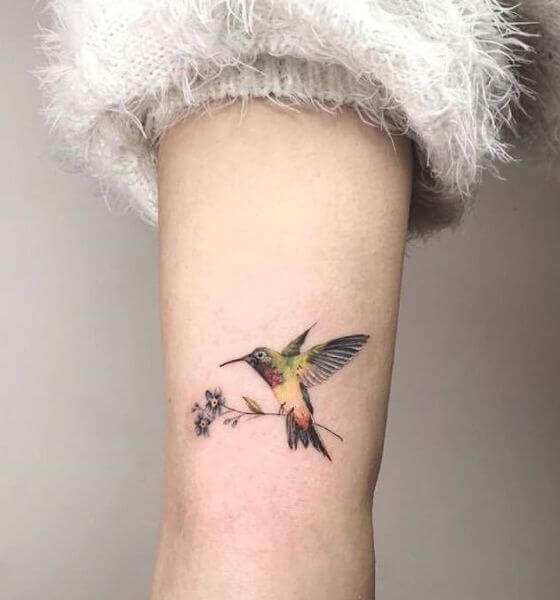 Hummingbird temporary tattoo design  Fake removable  High Quality temp  tatoo Designs last 510 days  decals go on with water  Amazonca  Handmade Products