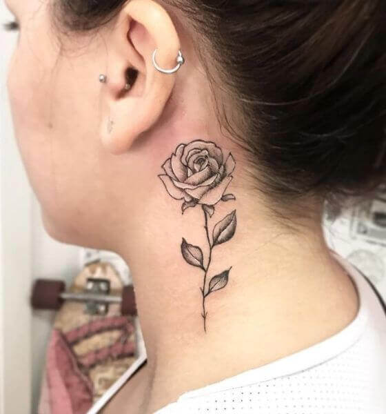 Rose Neck Tattoo Rose Drawing Tattoo Bird Tattoo Wrist Flower Tattoo Hot Sex Picture