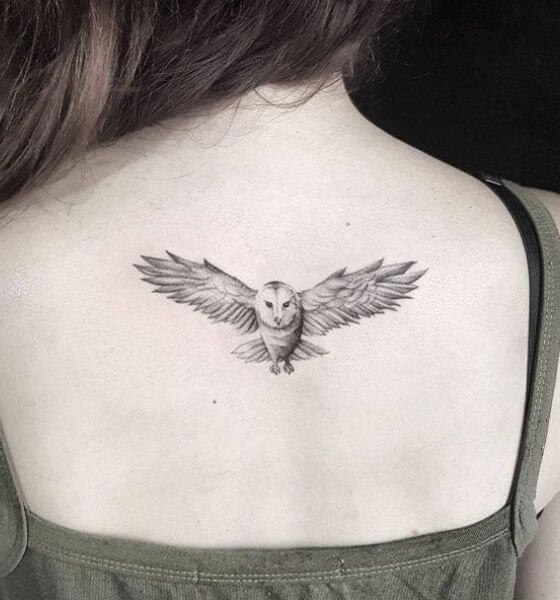 15 Owl Tattoo With Positive Meanings  TattoosWin