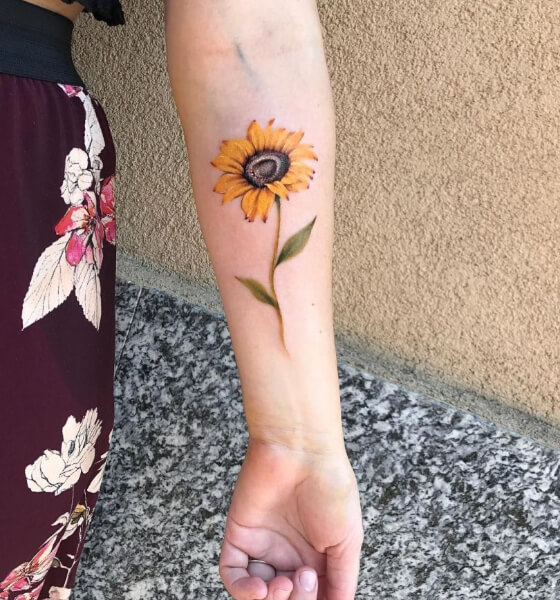 45 Beautiful Sunflower Tattoo Designs and Ideas in 2024