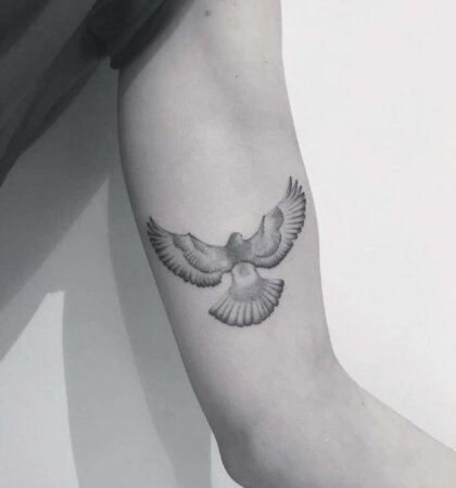 50 Most Beautiful Dove Tattoo Designs Ideas with Meaning