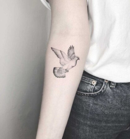 50 Most Beautiful Dove Tattoo Designs Ideas with Meaning