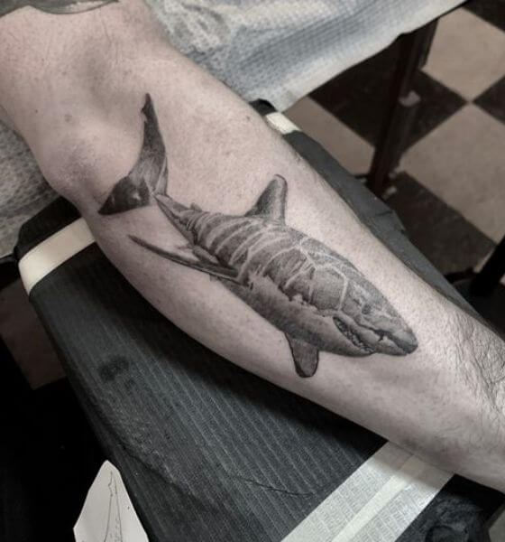 little shark friend by Sam Sea at Iron Will Tattoo Club in Glenside PA  r tattoos