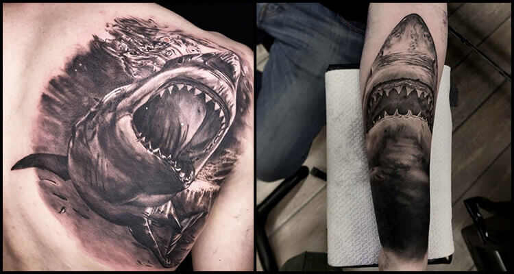 NeoTraditional Great White Shark by Nick Amble Whistler Street Tattoos  Sydney Australia  Shark tattoos Money tattoo Neo tattoo