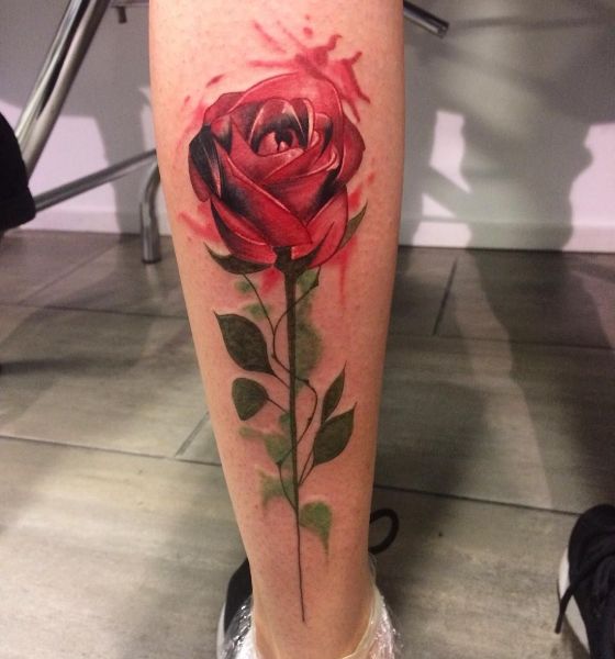 Black and white rose on the calf  Tattoogridnet