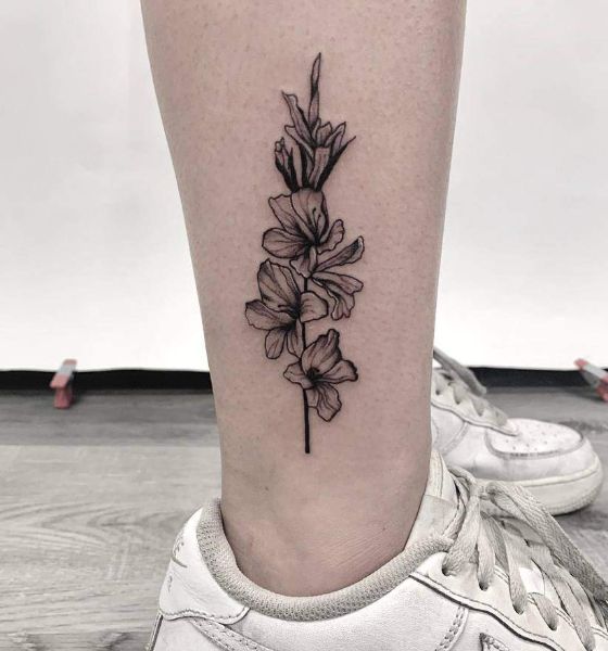 photo tattoo gladiolus 25012019 025  drawing a tattoo flower gladiolus   tattoovaluenet  tattoovaluenet