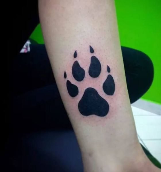 Marvels Black Panther Tattoo follow me on Instagram for more tatt   TikTok