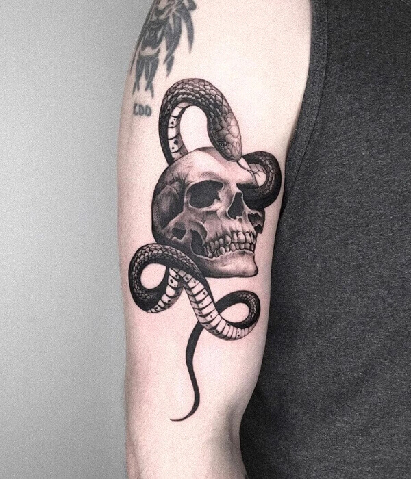 Details 69 skeleton snake tattoo best  incdgdbentre