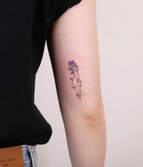 Discover More Than 79 July Birth Flower Larkspur Tattoo Best Esthdonghoadian