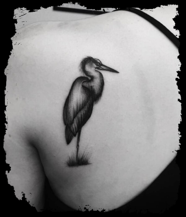 Black-and-Gray-Heron-Tattoo