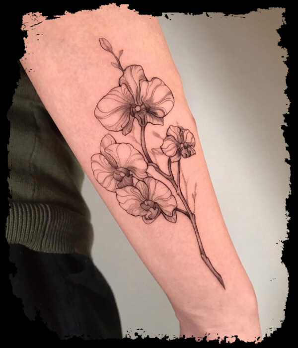 Orchid-Tattoo