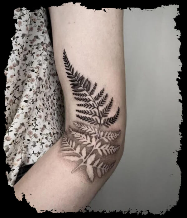 Fern-Tattoo-Ideas