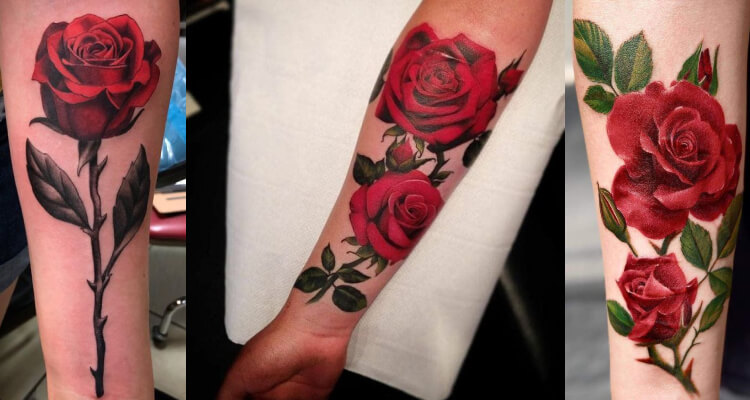Rose-Vine-Tattoo-Designs