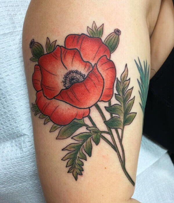 Large-Poppy-Flower-Tattoo