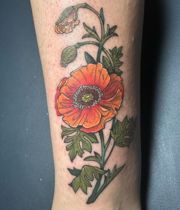 Neo-traditional-Poppy-Tattoo