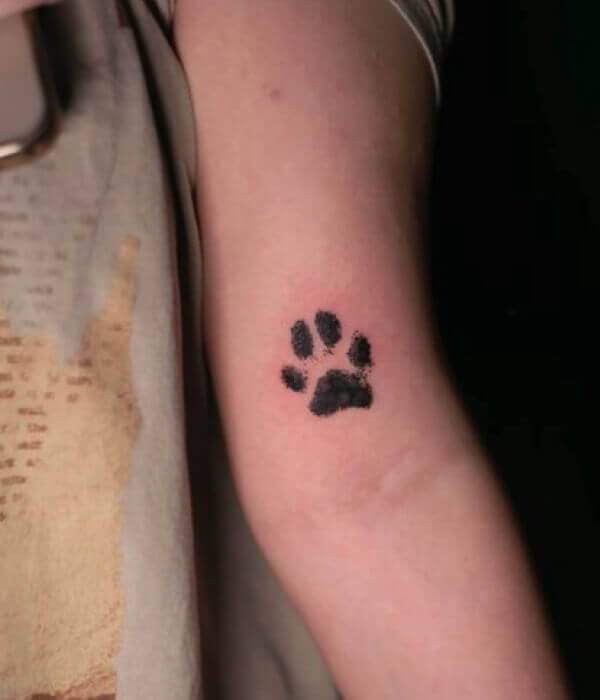 Paw-Print-Tattoo