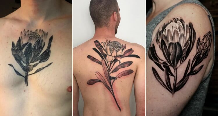 Protea-Tattoo-Designs