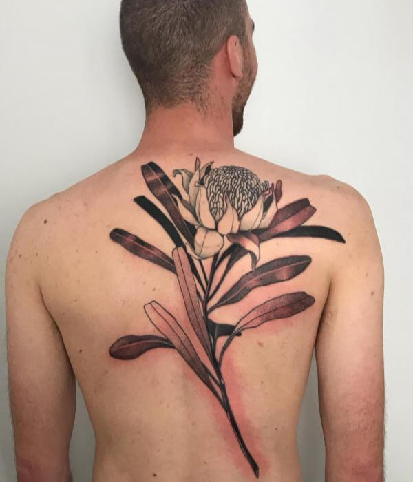 Protea-Back-Tattoo-for-Men