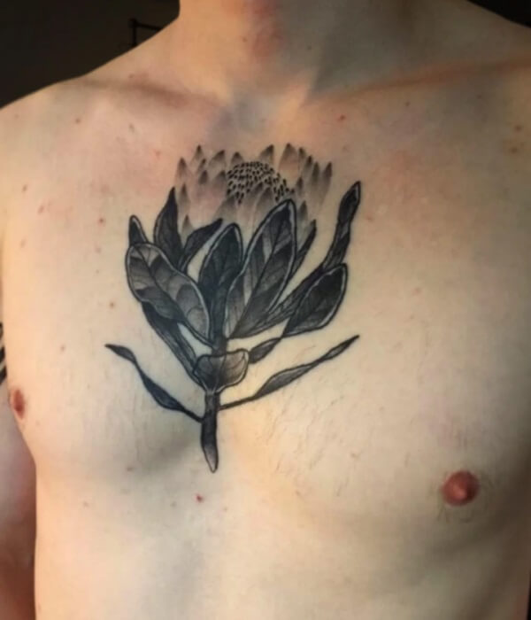 Protea-Chest-Tattoo