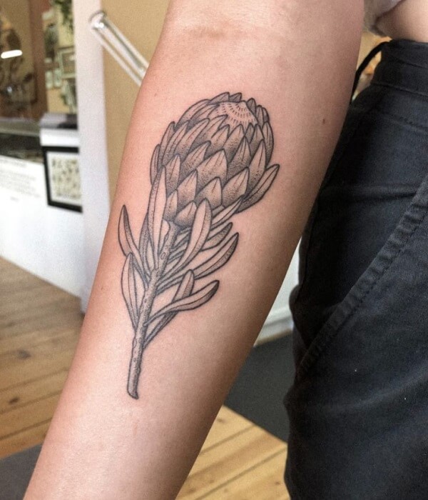 Protea-Forearm-Tattoo