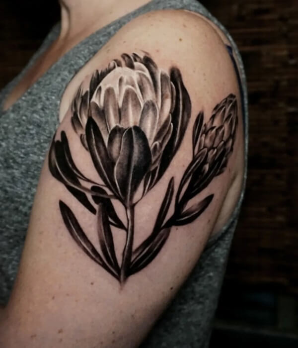 Protea-Shoulder-Tattoo