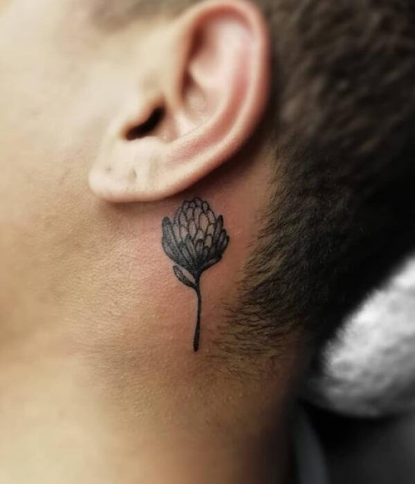 Small-protea-tattoo-behind-Ear