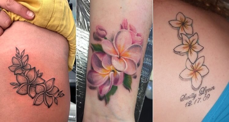 Plumeria-Tattoo-Designs