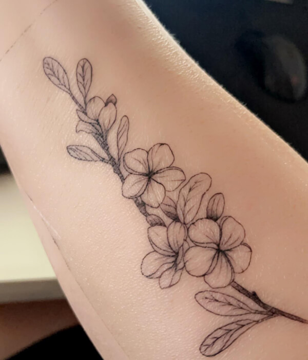 Plumeria-Fine-Line-Tattoo