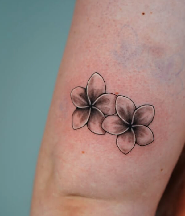 Plumeria-Micro-Realistic-Tattoo