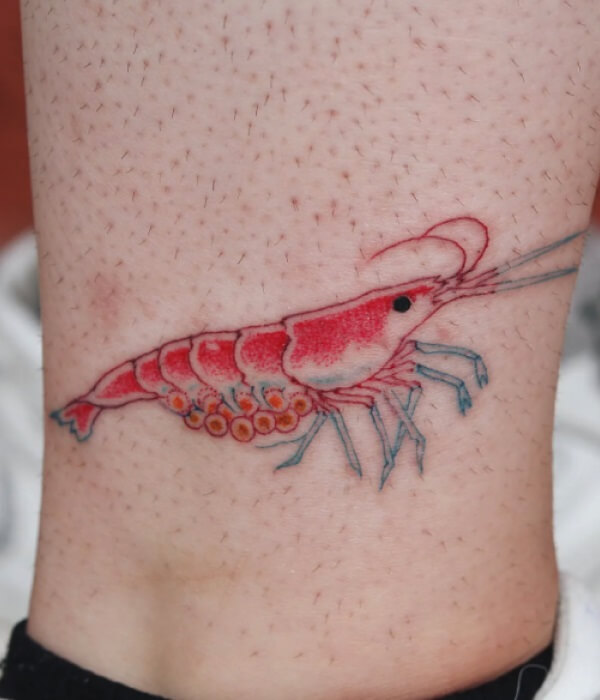 Cherry-Shrimp-Tattoo