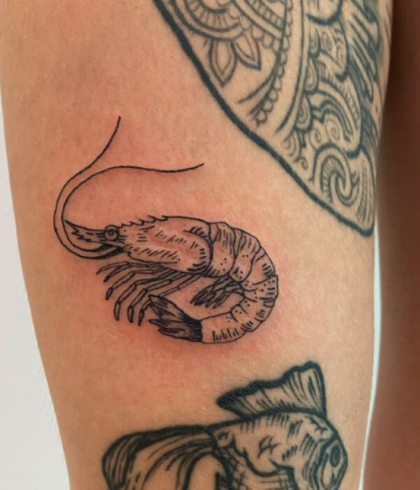 Shrimp-With-Shell-Tattoo