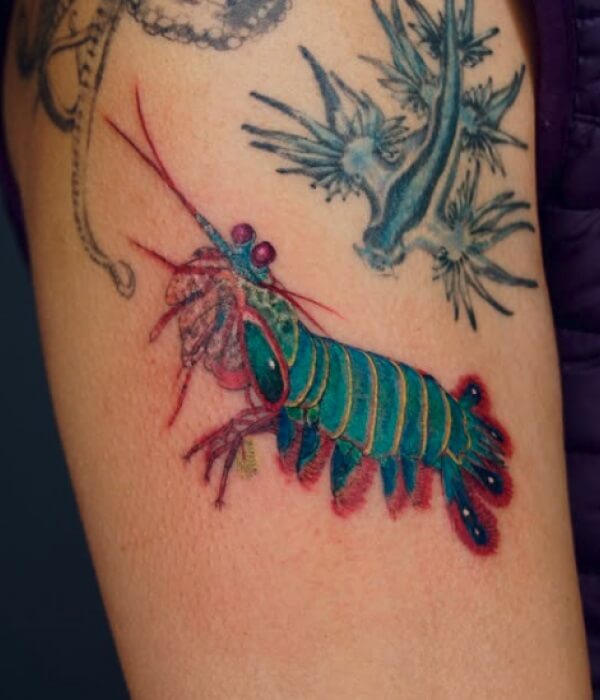 Space-Theme-Shrimp-Tattoo